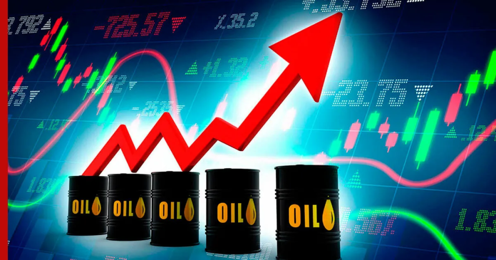 Цена на нефть достигла максимума за полгода