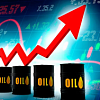 Цена на нефть достигла максимума за полгода